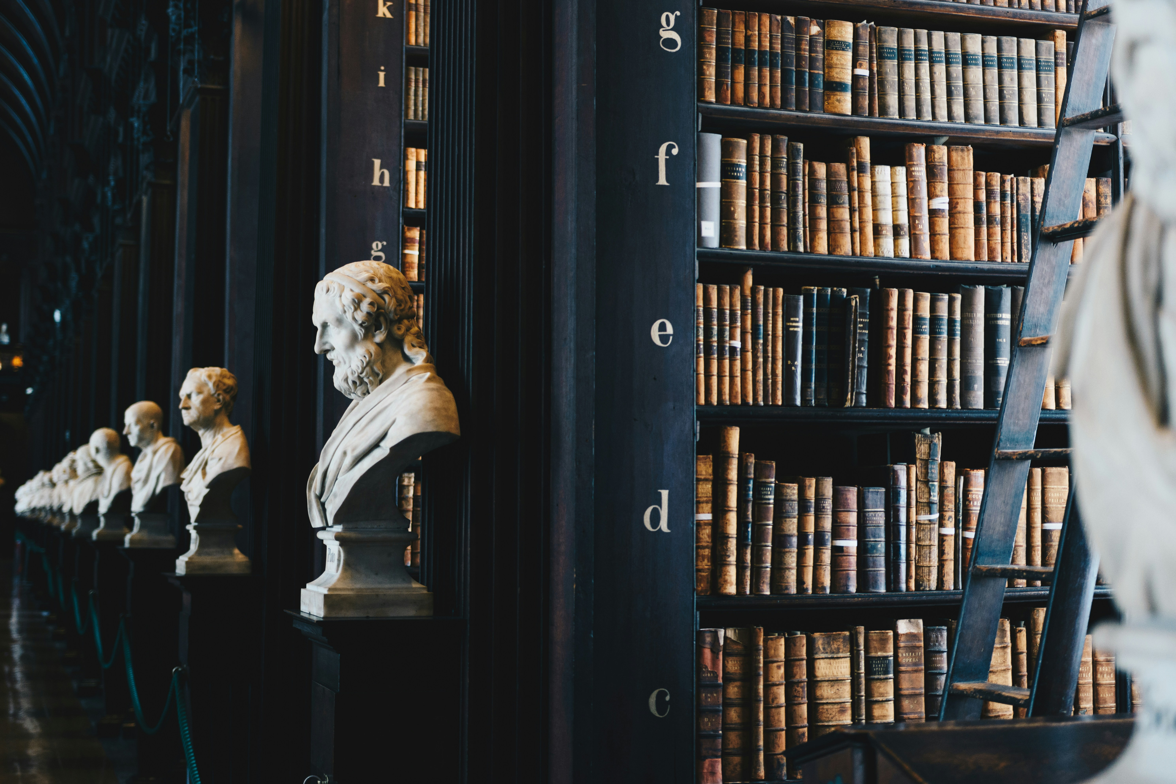 Photo of a row of books in a library.